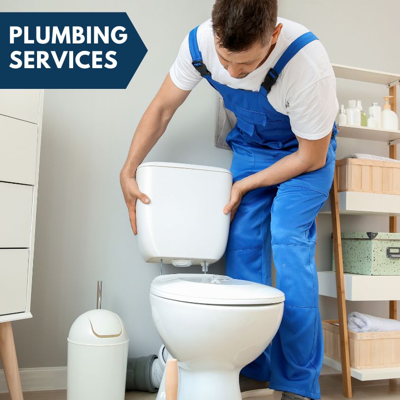 Plumbing Company in Fort Mcdowell, AZ